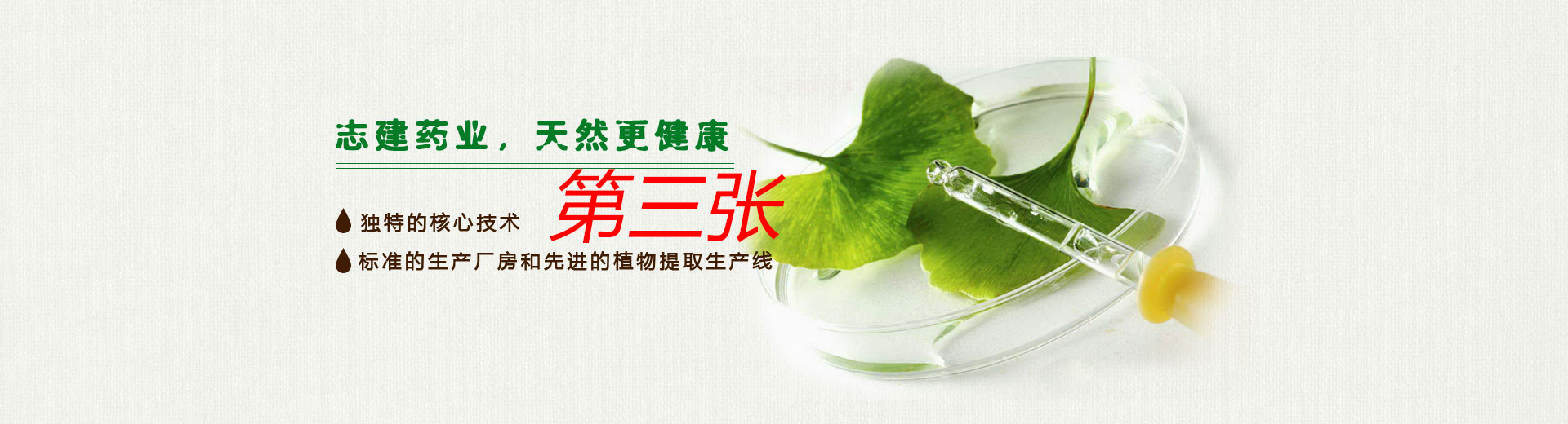 幻灯片3